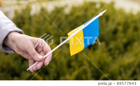 Closeup of woman hand showing flag. Woman with yellow and blue flag of Ukraine. Independence Day, Constitution day. Invasion in Ukraine. Patriotism symbol. Closeup of woman hand showing flag. Woman with yellow and blue flag of Ukraine. Independence Day, Constitution day. Invasion in Ukraine. Patriotism symbol. 89577643