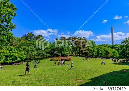 東京　練馬区にある光が丘公園　芝生広場 89577660