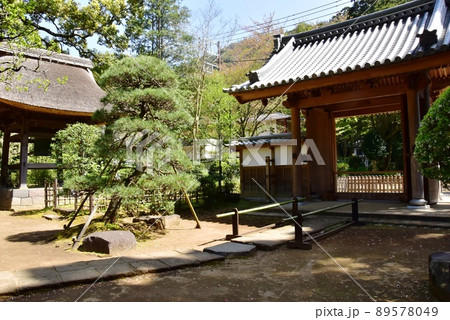 箱根町 早雲寺の山門と鐘楼堂と新緑 箱根町 早雲寺の山門と鐘楼堂と新緑 89578049