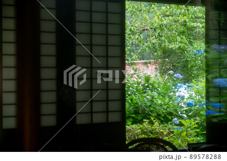 京都府宇治田原町湯屋谷空廣日本緑茶の祖と呼ばれる永谷宗円の生家の紫陽花を撮影 京都府宇治田原町湯屋谷空廣日本緑茶の祖と呼ばれる永谷宗円の生家の紫陽花を撮影 89578288