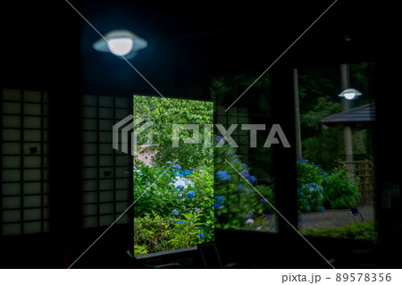 京都府宇治田原町湯屋谷空廣日本緑茶の祖と呼ばれる永谷宗円の生家の紫陽花を撮影 京都府宇治田原町湯屋谷空廣日本緑茶の祖と呼ばれる永谷宗円の生家の紫陽花を撮影 89578356