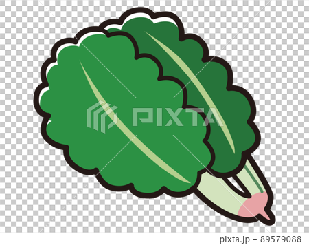 菠菜插圖 菠菜插圖 89579088
