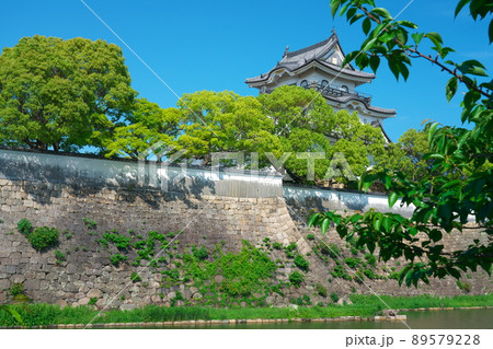 【続日本100名城】岸和田城 本丸と内堀の初夏の風景3 大阪府岸和田市 【続日本100名城】岸和田城 本丸と内堀の初夏の風景3 大阪府岸和田市 89579228