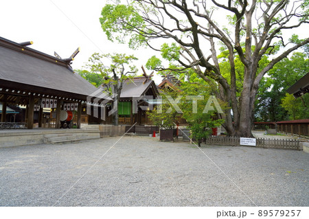 【和泉国一宮】大鳥大社の拝殿と本殿4　大阪府堺市西区 89579257