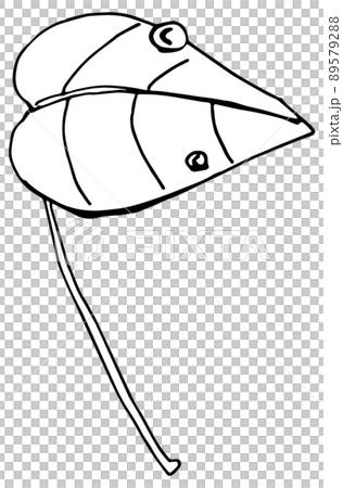 葉傘 89579288
