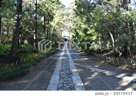 寿福寺、鎌倉市扇が谷 89579437