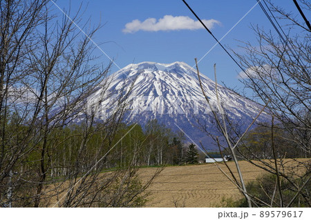 ニセコ町福井のあたりから見る羊蹄山 89579617