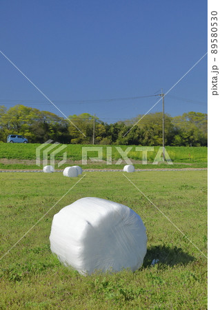 ラップ牧草ロールのある牧草畑 89580530