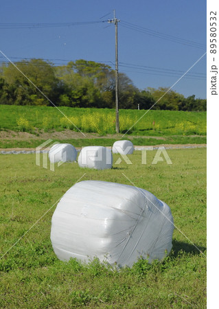 ラップ牧草ロールのある牧草畑 ラップ牧草ロールのある牧草畑 89580532