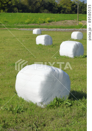 ラップ牧草ロールのある牧草畑の写真素材 [89580535] - PIXTA