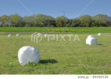 ラップ牧草ロールのある牧草畑 89580536