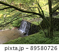 緑の生い茂る中の小さな滝 89580726