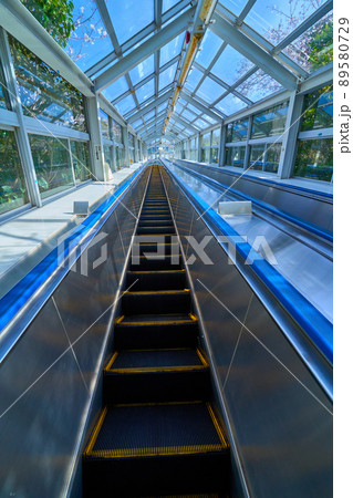 春の徳島県鳴門市の鳴門公園にあるエスカヒル鳴門のエスカレーター 春の徳島県鳴門市の鳴門公園にあるエスカヒル鳴門のエスカレーター 89580729
