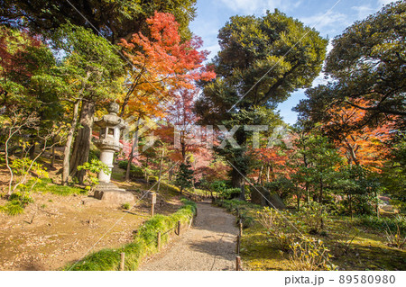 東京都　旧古河庭園の紅葉 89580980