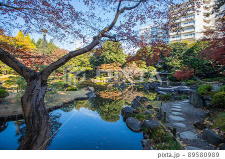東京都　旧古河庭園の紅葉 89580989