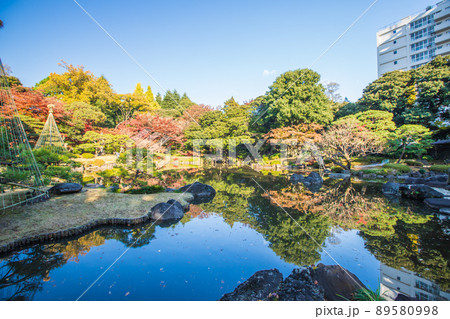 東京都 旧古河庭園の紅葉 東京都 旧古河庭園の紅葉 89580998