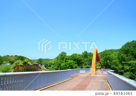 豊田市、鞍ヶ池公園虹のかけ橋の風景 豊田市、鞍ヶ池公園虹のかけ橋の風景 89581065