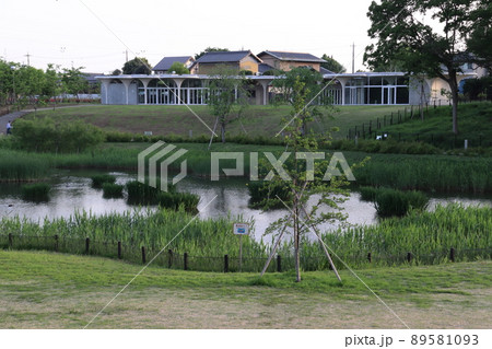イイナパーク川口・赤山歴史自然公園（地域物産館） 89581093