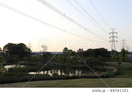 夕暮れのイイナパーク川口・赤山歴史自然公園にて 89581101