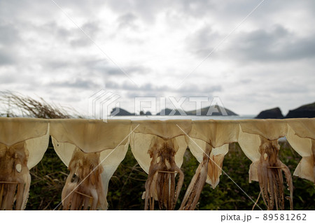 空 海岸 イカ 89581262