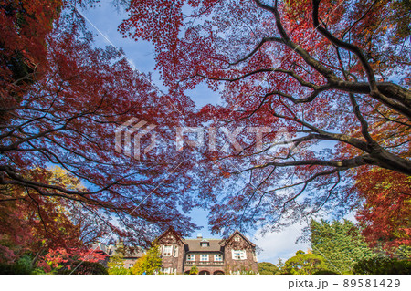 東京都　旧古河庭園の紅葉 89581429