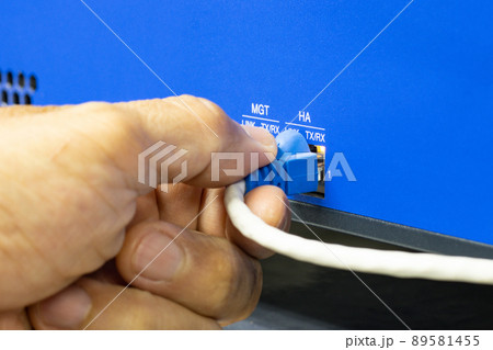 Hand of a man holding The network cables to connect the port of a switch to connect internet network, concept Communication technology 89581455