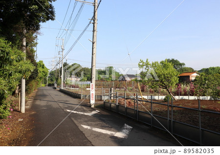 神根地区の植木畑にて(埼玉県川口市) 神根地区の植木畑にて(埼玉県川口市) 89582035