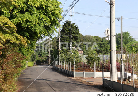神根地区の植木畑にて（埼玉県川口市） 89582039