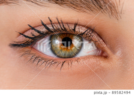 Close up, macro photo of o female color eye, iris, pupil, eye lashes, eye lids. 89582494