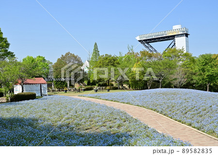 ネモフィラと花のタワー（ぎふワールド・ローズガーデン） 89582835