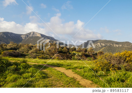 Road in mountains 89583117