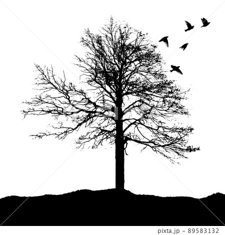 Silhouette of a lonely tree with flying birds. Vector illustration 89583132