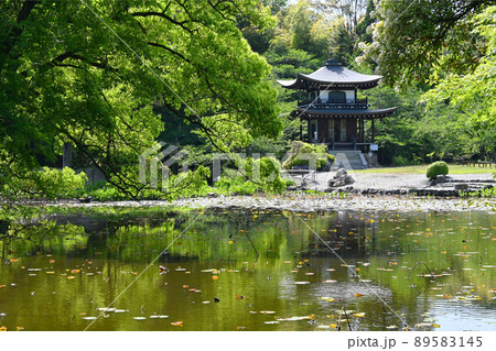 初夏の京都市勧修寺の氷室池と観音堂 89583145