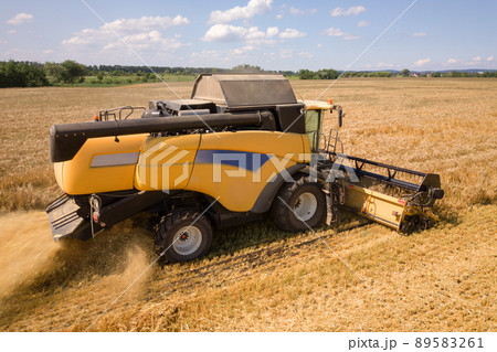 Aerial view of combine harvester harvesting large ripe wheat field. Agriculture from drone view. 89583261