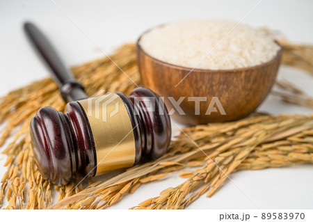 Judge gavel hammer with good grain rice from agriculture farm. Law and justice court concept. Judge gavel hammer with good grain rice from agriculture farm. Law and justice court concept. 89583970
