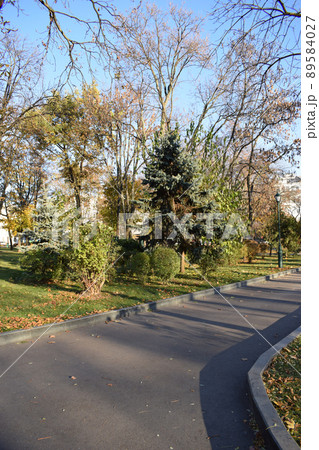 Path in autumn park with golden leaves on sunny weather 89584027
