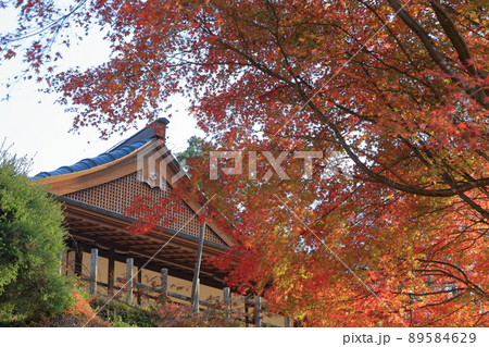 赤く染まった紅葉の時期の山城(田峯城 愛知県 設楽町) 赤く染まった紅葉の時期の山城(田峯城 愛知県 設楽町) 89584629