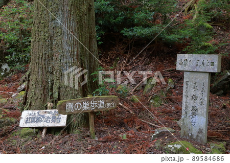 もみじ橋の岩舞台(くらがり渓谷、闇苅渓谷 愛知県 岡崎市) もみじ橋の岩舞台(くらがり渓谷、闇苅渓谷 愛知県 岡崎市) 89584686