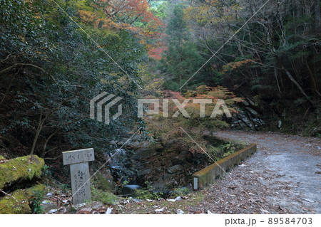 おきな淵（くらがり渓谷、闇苅渓谷　愛知県 岡崎市） 89584703