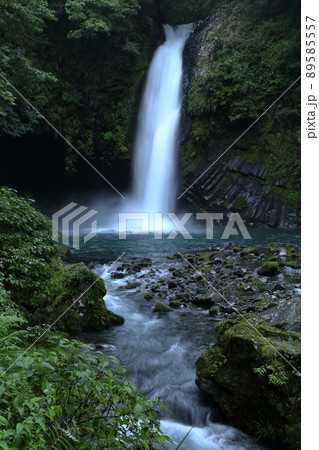 日本の滝百選の滝 落差25m(浄蓮の滝 静岡県 伊豆市 湯ヶ島) 日本の滝百選の滝 落差25m(浄蓮の滝 静岡県 伊豆市 湯ヶ島) 89585557