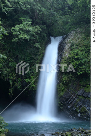 歌にもなった滝（浄蓮の滝　静岡県 伊豆市 湯ヶ島） 89585559