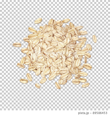 燕麥燕麥插圖真實 89586453