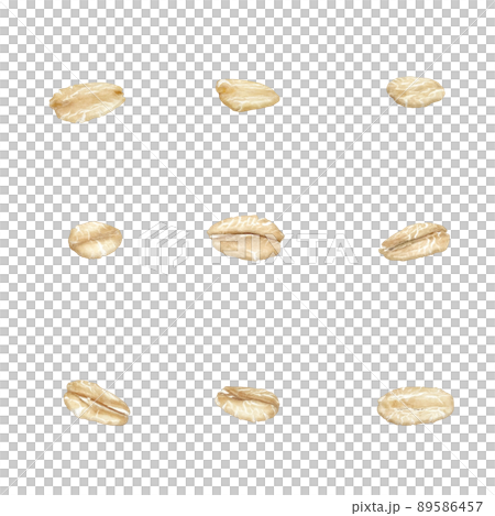 オートミール オーツ麦 イラスト リアル オートミール オーツ麦 イラスト リアル 89586457