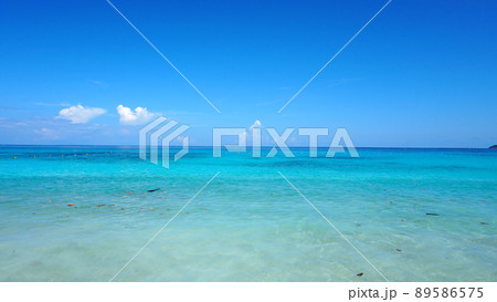 Turquoise ocean water. Leaves are floating. Turquoise ocean water. Leaves are floating. 89586575