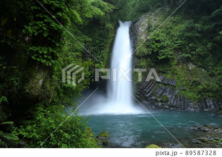 日本の滝百選の滝（浄蓮の滝　静岡県 伊豆市 湯ヶ島） 89587328