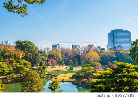東京都 六義園の紅葉 東京都 六義園の紅葉 89587888