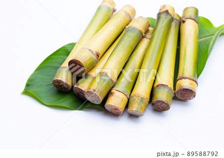 Sugar cane on white background. 89588792