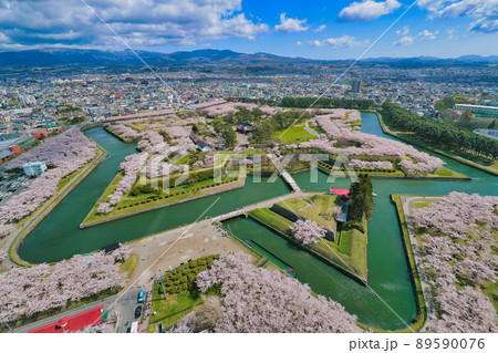 五稜郭タワー　展望桜 89590076