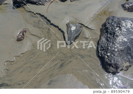 小砂川海岸 89590479