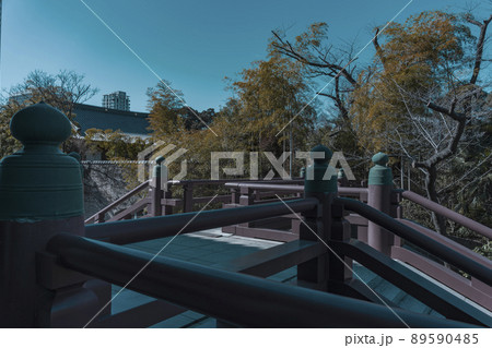 東京都港区の増上寺(旧広書院) 東京都港区の増上寺(旧広書院) 89590485